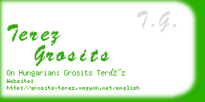 terez grosits business card